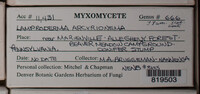 Image Associated With the Occurence